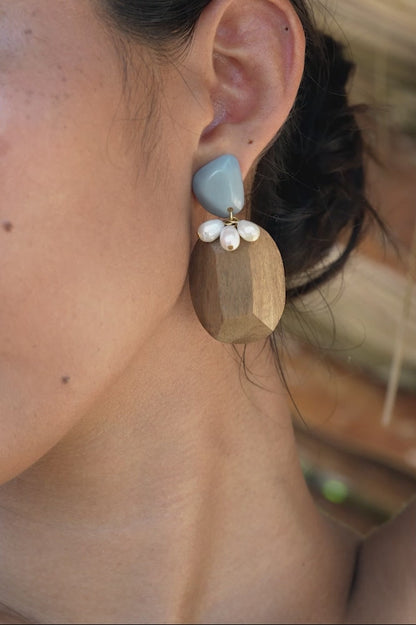 Salinas Earrings